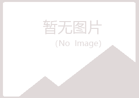 林甸县字迹会计有限公司